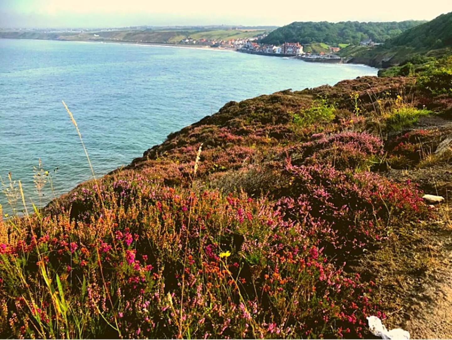 East Cliff View, Heart Of Whitby Exteriör bild